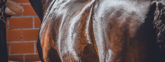 Fit durch die kalte Jahreszeit Verdauung